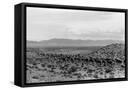 Framed Canvas