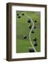 Huts, Haystacks, Mountain Pasture, Path, Nature-Frank Fleischmann-Framed Photographic Print