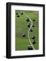 Huts, Haystacks, Mountain Pasture, Path, Nature-Frank Fleischmann-Framed Photographic Print