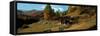 Huts with the Mt Matterhorn in Background in Autumn Morning Light, Valais Canton, Switzerland-null-Framed Stretched Canvas