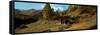 Huts with the Mt Matterhorn in Background in Autumn Morning Light, Valais Canton, Switzerland-null-Framed Stretched Canvas