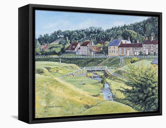 Hutton Le Hole-Trevor Mitchell-Framed Stretched Canvas