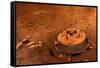 Huygens Probe on Titan Space Poster Print-null-Framed Stretched Canvas