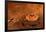 Huygens Probe on Titan Space Poster Print-null-Framed Poster