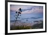 Hvar Town and the Pakleni Islands (Paklinski Islands) at Night-Matthew Williams-Ellis-Framed Photographic Print