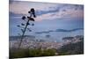 Hvar Town and the Pakleni Islands (Paklinski Islands) at Night-Matthew Williams-Ellis-Mounted Photographic Print