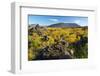 Hverfell Crater rising out of the Dimmuborgir Lava Field, Myvatn Region, Iceland, Polar Regions-Miles Ertman-Framed Photographic Print