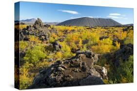 Hverfell Crater rising out of the Dimmuborgir Lava Field, Myvatn Region, Iceland, Polar Regions-Miles Ertman-Stretched Canvas