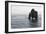 Hvitserkur, Hunafjšrdur, Hunafloi Bay, Vatnsnes Peninsula, North Iceland-Julia Wellner-Framed Photographic Print