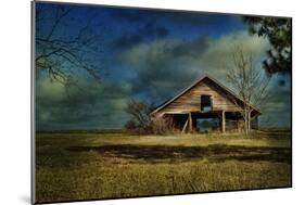 Hwy82 Barn-Barbara Simmons-Mounted Giclee Print