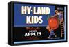 Hy-Land Kids Brand Apples-null-Framed Stretched Canvas