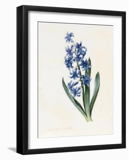 Hyacinth, 1826-Louise D'Orleans-Framed Giclee Print