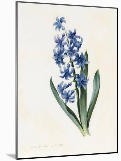 Hyacinth, 1826-Louise D'Orleans-Mounted Giclee Print