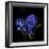 Hyacinth 1-Magda Indigo-Framed Photographic Print