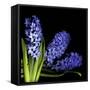 Hyacinth 3-Magda Indigo-Framed Stretched Canvas