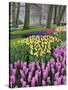 Hyacinth and tulip flowers, Keukenhof Gardens, Lisse, Netherlands-Adam Jones-Stretched Canvas