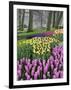 Hyacinth and tulip flowers, Keukenhof Gardens, Lisse, Netherlands-Adam Jones-Framed Photographic Print