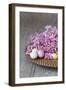 Hyacinth Blossoms and Easter Eggs-Andrea Haase-Framed Photographic Print