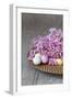 Hyacinth Blossoms and Easter Eggs-Andrea Haase-Framed Photographic Print