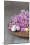 Hyacinth Blossoms and Easter Eggs-Andrea Haase-Mounted Photographic Print