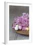 Hyacinth Blossoms and Easter Eggs-Andrea Haase-Framed Photographic Print