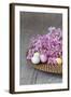 Hyacinth Blossoms and Easter Eggs-Andrea Haase-Framed Photographic Print