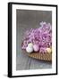 Hyacinth Blossoms and Easter Eggs-Andrea Haase-Framed Photographic Print