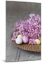 Hyacinth Blossoms and Easter Eggs-Andrea Haase-Mounted Photographic Print