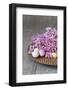 Hyacinth Blossoms and Easter Eggs-Andrea Haase-Framed Photographic Print