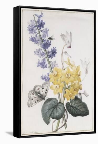 Hyacinth, Cyclamen and Narcissi-Pierre-Joseph Redouté-Framed Stretched Canvas