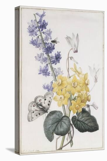 Hyacinth, Cyclamen and Narcissi-Pierre-Joseph Redouté-Stretched Canvas
