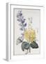 Hyacinth, Cyclamen and Narcissi-Pierre-Joseph Redouté-Framed Giclee Print