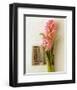 Hyacinth, Euro-Floral-Dorothy Gaubert Pyle-Framed Art Print