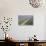 Hyacinth Field-ErikdeGraaf-Photographic Print displayed on a wall
