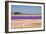 Hyacinth Fields in Purple and Pink-Colette2-Framed Photographic Print