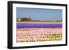 Hyacinth Fields in Purple and Pink-Colette2-Framed Photographic Print