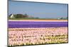 Hyacinth Fields in Purple and Pink-Colette2-Mounted Photographic Print