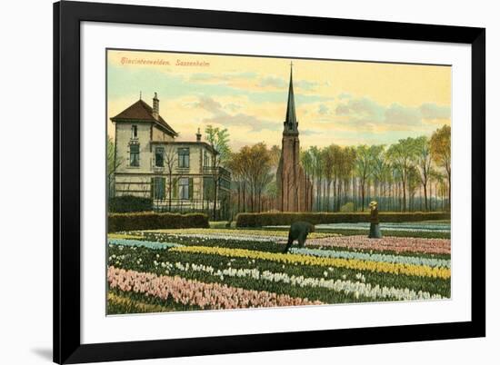 Hyacinth Fields, Sassenheim, Holland-null-Framed Art Print