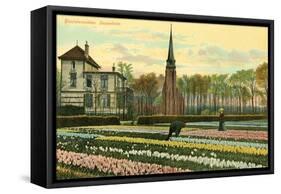 Hyacinth Fields, Sassenheim, Holland-null-Framed Stretched Canvas