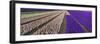 Hyacinth Flower Fields in Famous Lisse, Holland-Anna Miller-Framed Photographic Print