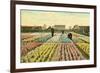 Hyacinth Garden, Haarlem, Holland-null-Framed Art Print