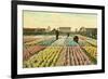 Hyacinth Garden, Haarlem, Holland-null-Framed Premium Giclee Print