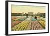 Hyacinth Garden, Haarlem, Holland-null-Framed Art Print