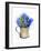 Hyacinth in Pitcher, 2014-John Keeling-Framed Giclee Print