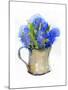 Hyacinth in Pitcher, 2014-John Keeling-Mounted Giclee Print