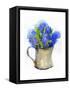 Hyacinth in Pitcher, 2014-John Keeling-Framed Stretched Canvas