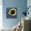 Hyacinth Macaw, 1 Year Old, Close Up On Eye-Life on White-Photographic Print displayed on a wall