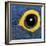 Hyacinth Macaw, 1 Year Old, Close Up On Eye-Life on White-Framed Photographic Print