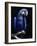 Hyacinth Macaw (Anodorhynchus Hyacinthus)-Lynn M^ Stone-Framed Photographic Print