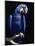 Hyacinth Macaw (Anodorhynchus Hyacinthus)-Lynn M^ Stone-Mounted Photographic Print